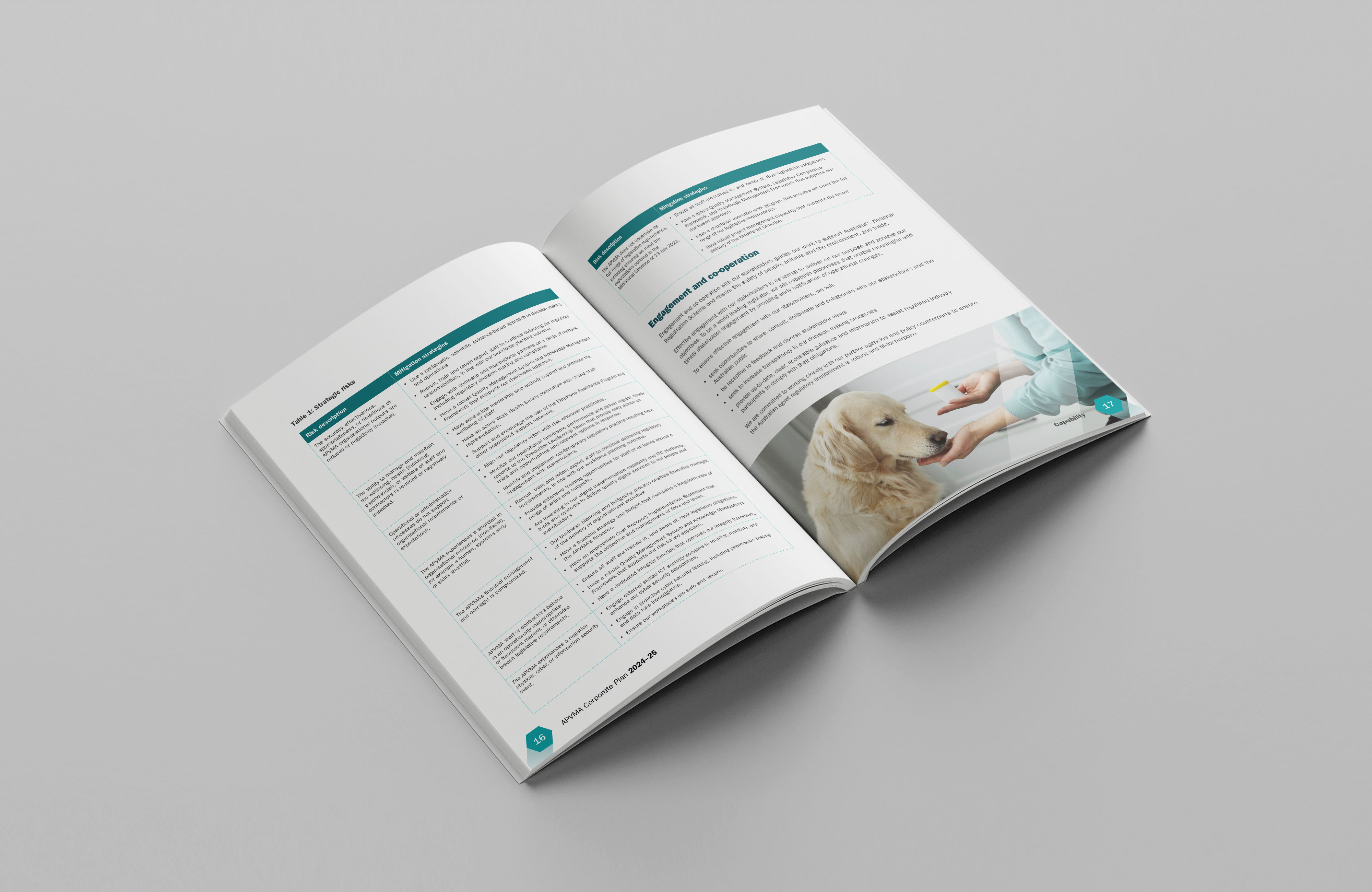 Australian Pesticides and Veterinary Medicines Authority — Corporate Plan 2024–25 to 2027–28