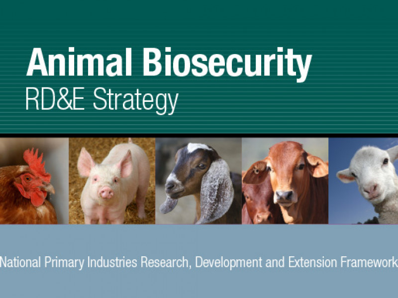 Animal Health in Australia Animal Biosecurity RD&E Strategy